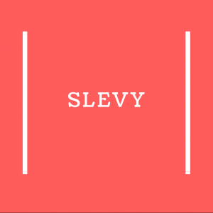 slevy_slevy